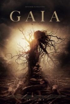 Gaia Gruene Hoelle