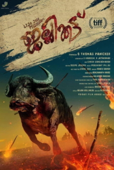 Zorn der Bestien - Jallikattu