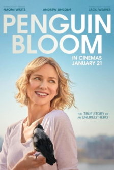 Befluegelt Ein Vogel namens Penguin Bloom