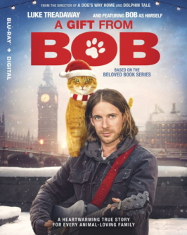 Ein Geschenk von Bob