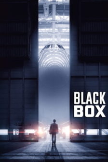 Black Box Gefaehrliche Wahrheit