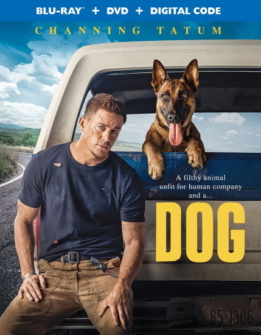 Dog Das Glueck hat vier Pfoten