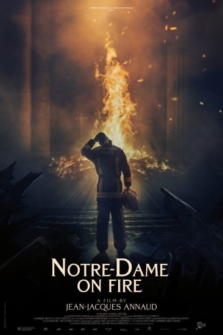 Notre Dame in Flammen