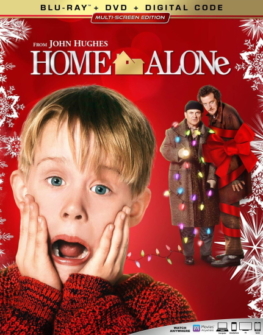 Kevin Allein Zu Haus