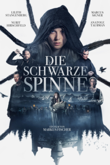 Die schwarze Spinne