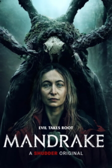 Mandrake Wurzel des Boesen