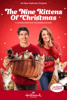 Neun Kaetzchen zu Weihnachten Eine samtige Bescherung 2