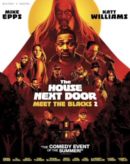 The House Next Door Meet the Blacks 2