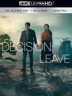 Die Frau im Nebel - Decision to leave