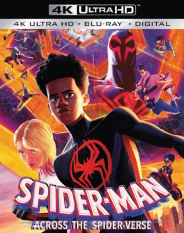 Spider-Man - Across the Spider-Verse