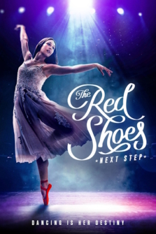 The Next Step Lebe Deinen Traum