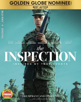 The Inspection