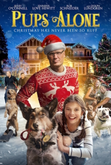 Hunde Allein zu Haus