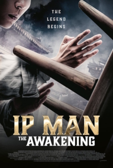 Ip Man The Awakening