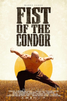 Die Faust des Condors