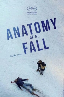 Anatomie eines Falls