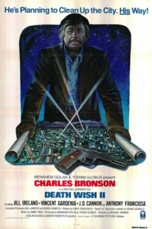 Der Mann ohne Gnade Death Wish II