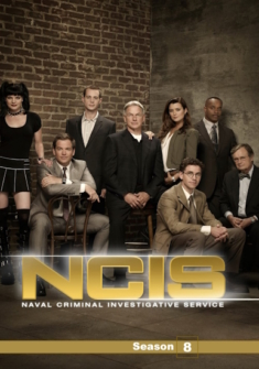 Navy CIS - Season 8