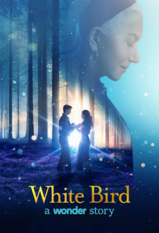 Wonder White Bird