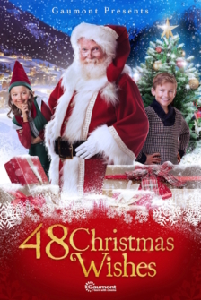 48 Christmas Wishes Weihnachtswuensche in Gefahr