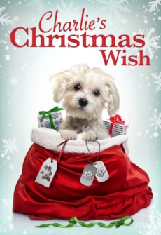 Charlies Christmas Wish Ein Weihnachtsfest der Hoffnung