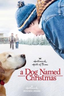 Ein Hund namens Weihnachten
