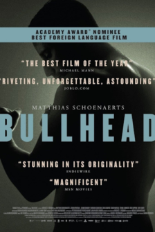 Bullhead