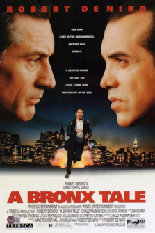 In den Strassen der Bronx