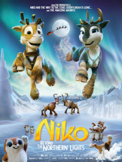 Niko Reise zu den Polarlichtern