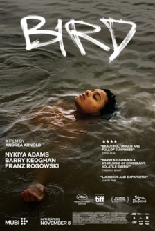 Bird (2024)