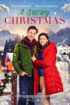 Weihnachten mit Mr. Perfect
