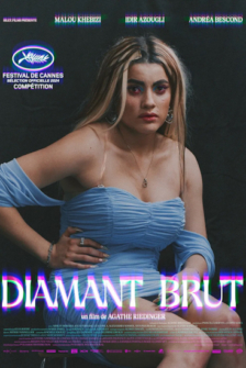 Wilder Diamant