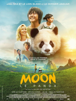 Moon, der Panda