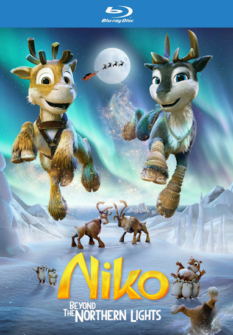 Niko - Reise zu den Polarlichtern