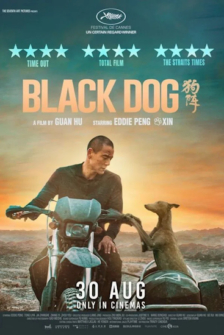 Black Dog - Weggefährten