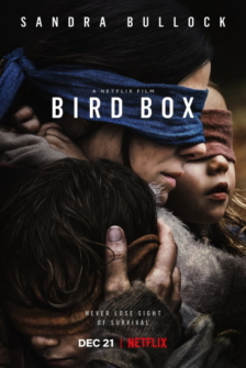 Bird Box - Schließe Deine Augen