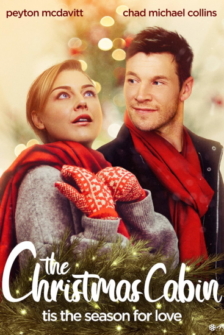 Das Weihnachtsglück - Liebe ist das schönste Geschenk