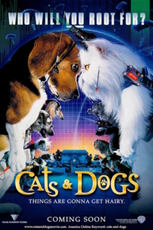 Cats & Dogs - Wie Hund und Katz