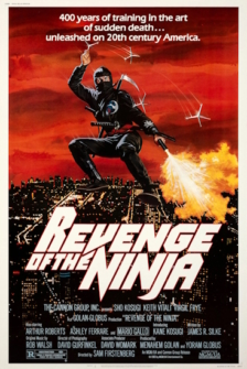 Die Rückkehr der Ninja
