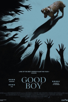 Good Boy - Trust his instincts