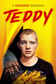 Teddy