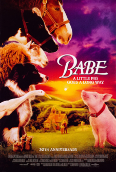 Ein Schweinchen namens Babe