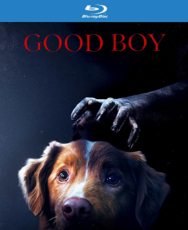 Good Boy - Trust his instincts
