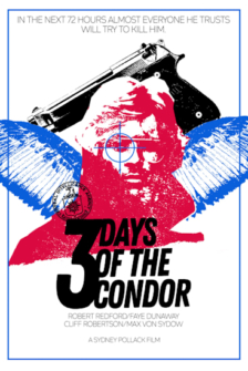 Die drei Tage des Condor