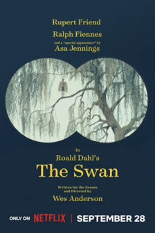 Der Schwan