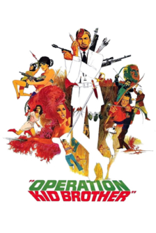 Operation 'Kleiner Bruder'