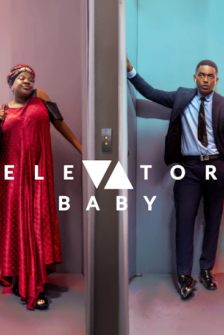 Elevator Lady