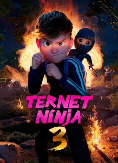Der karierte Ninja 3
