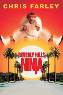 Beverly Hills Ninja - Die Kampfwurst
