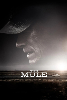 The Mule